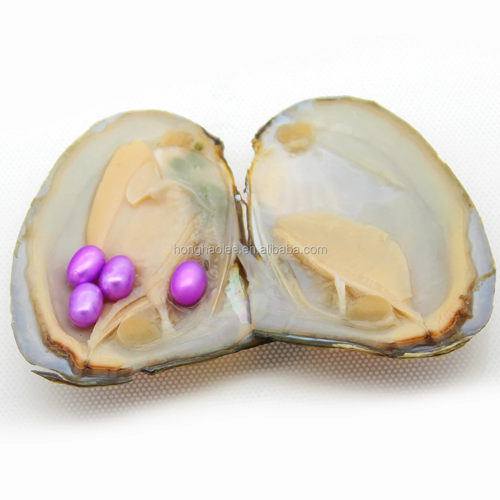 

Surprise Gift Natural Freshwater Pearl Oyster Oval 6-8mm Same Color Pearl &Triangle oyster Vacuum Pack Free Shipping