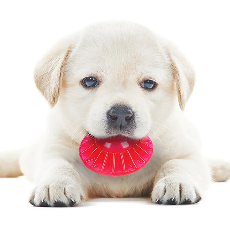 pet toy 7