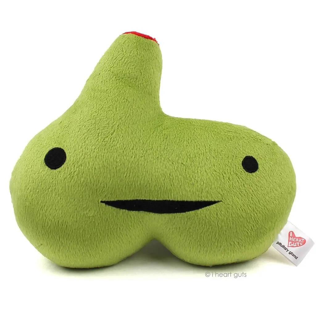 pituitary gland plush ain't life gland i heart guts 21.99