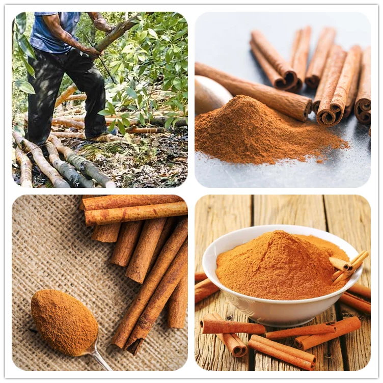 Organic Ceylon Cinnamon Extract Cinnamomum Cassia Leaf Powder Buy Cassia Leaf Powdercassia 0952