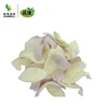 VF Onion Chips which dry fruit is best for health