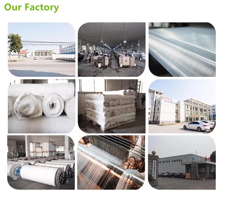 paste-pic-dp_uuid_2rjzw