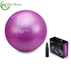 Zhensheng Standard Anti Burst Exercise Yoga Fitness Ball Air Pump