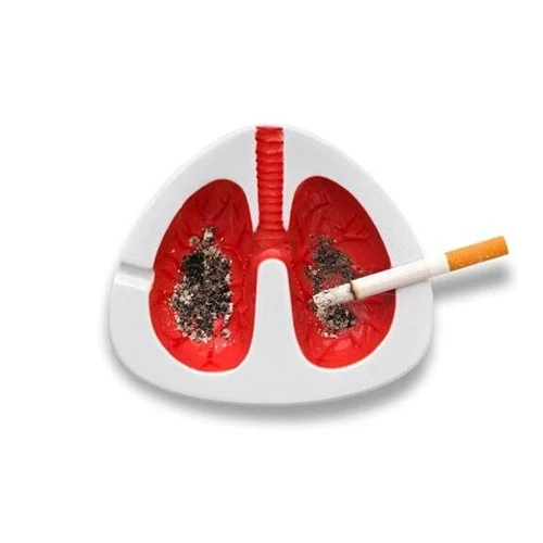 Unique-ceramic-custom-lung-shape-ashtray.jpg