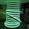 LED Light Source and Neon Lights Item Type led neon light