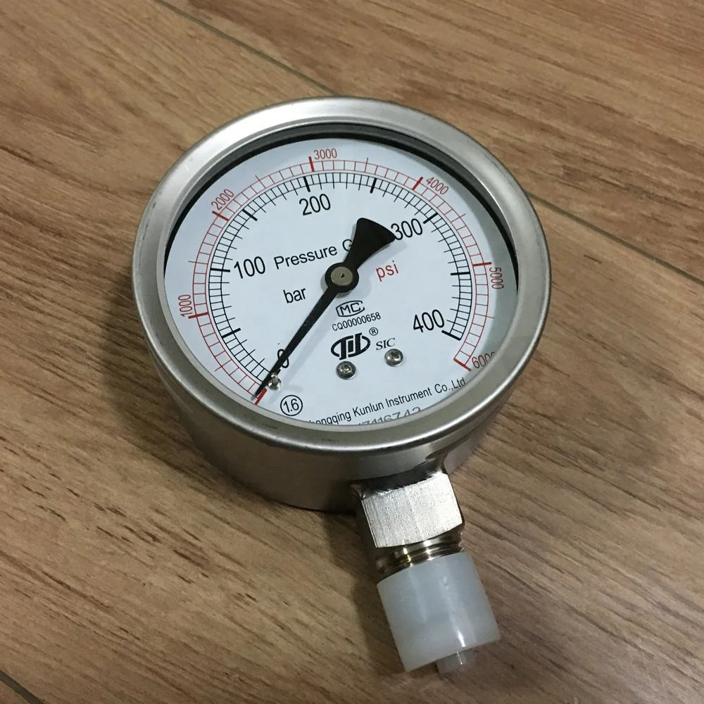 pressure gauge details