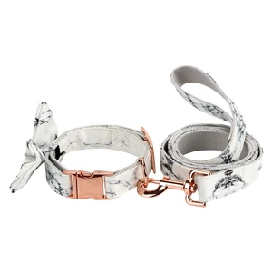 Fashion cheap price  dog collar and leash with  hardware accessories