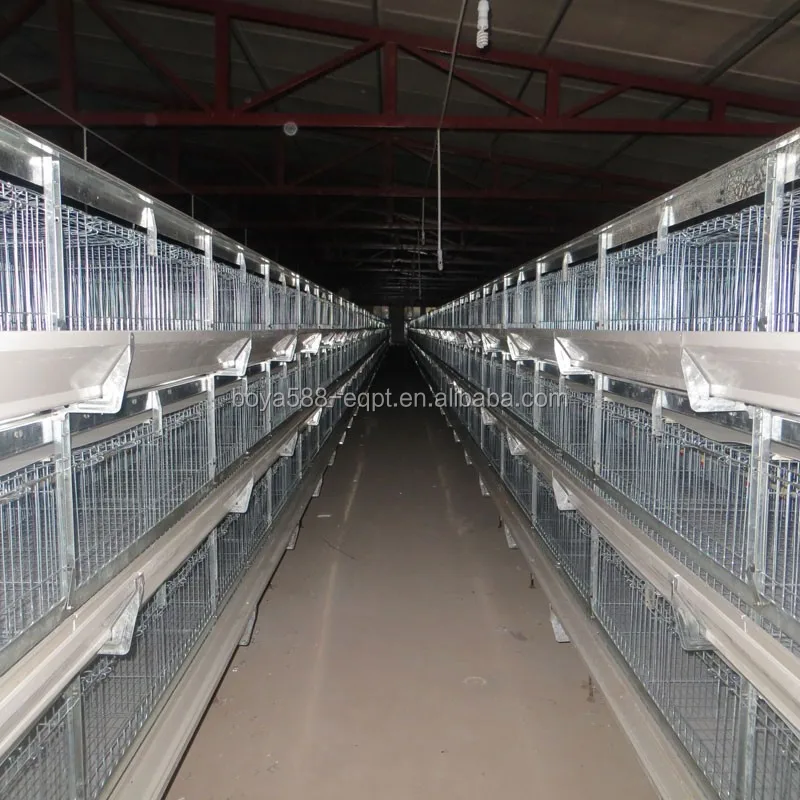 Stacked Colony Cages For Broilers Buy Cage For Broilers,Broiler