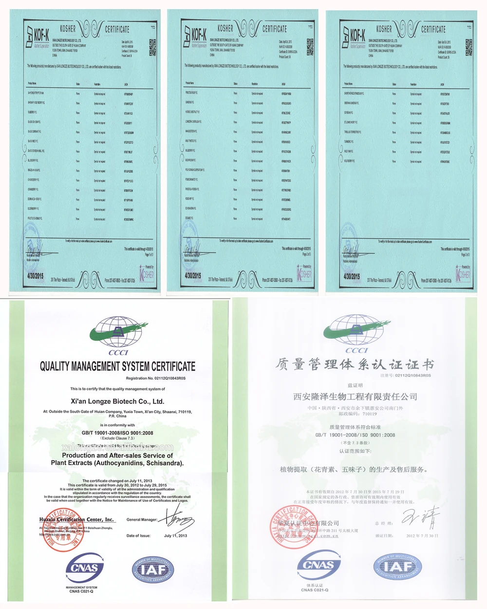 Bulk Supply Plant Globe Amaranth Flower Extract/globe Amaranth Extract