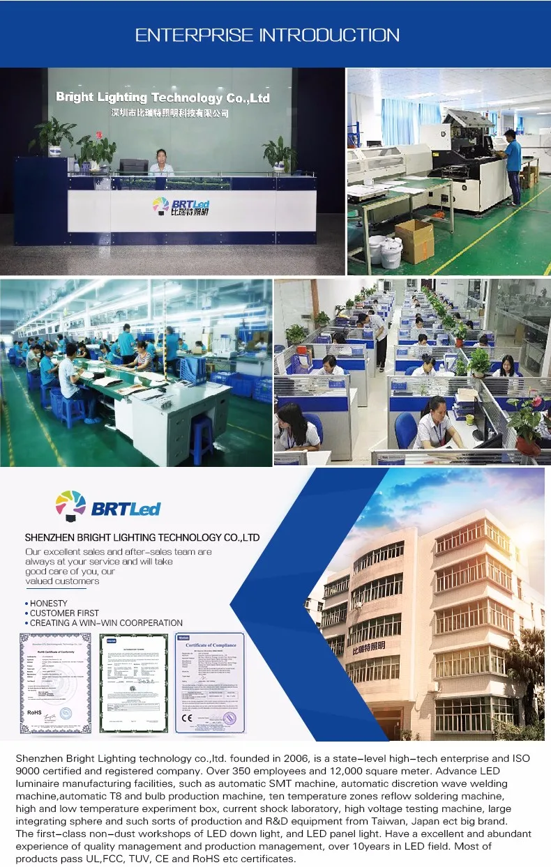 voice conrtol bulb light