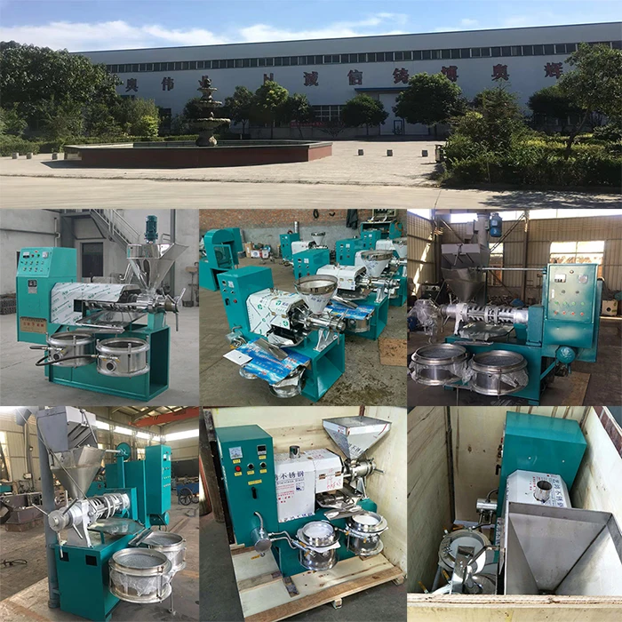 2017 New Avocado Oil Extraction Machine Buy Extraction Machine,Oil