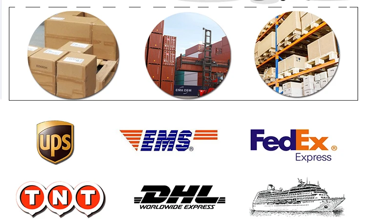 [MISSY] OEM/ODM Private Label 100% Pure Organic Carrier Coconut Sweet Almond Essential Oil Set in Stock