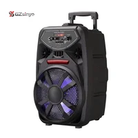 

8 inch rechargeable portable amplifier speaker with microphone and disco light