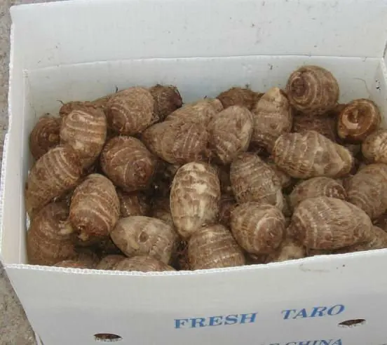 
Fresh taro 