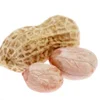 Chinese High Yield Excellent Quality Red Peanut Seeds For Growing