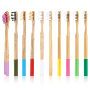 Custom Private label Eco friendly Biodegradable Wholesale Disposable Charcoal Bamboo Toothbrush