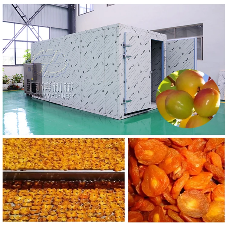 Saving power commercial used vegetable drying machine / onion / ginger /garlic dehydrator