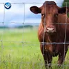 Veld span fence wire from Chinese factory to all over the world