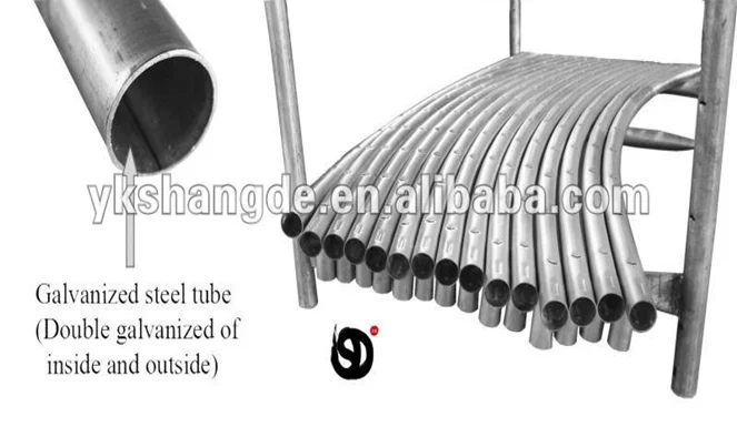 paste-pic-dp_uuid_ejvo8