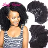 No split ends 100g/set virgin Brazilian kinky curly hair clip ins