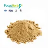 Wholesale Siberian Ginseng P.E , Siberian Ginseng Extract