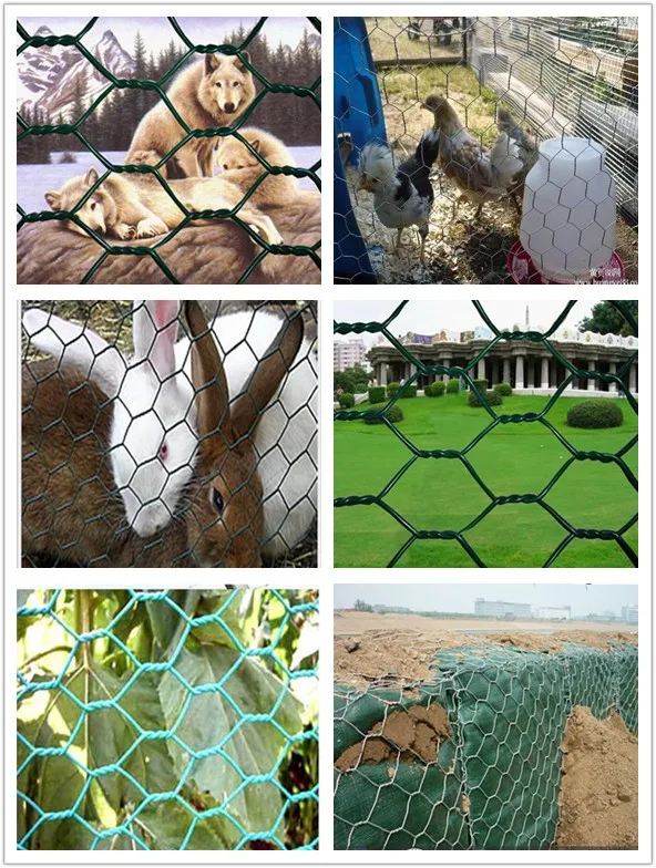 Manufacture chicken coop iron wire fence PVC coated galvanized 