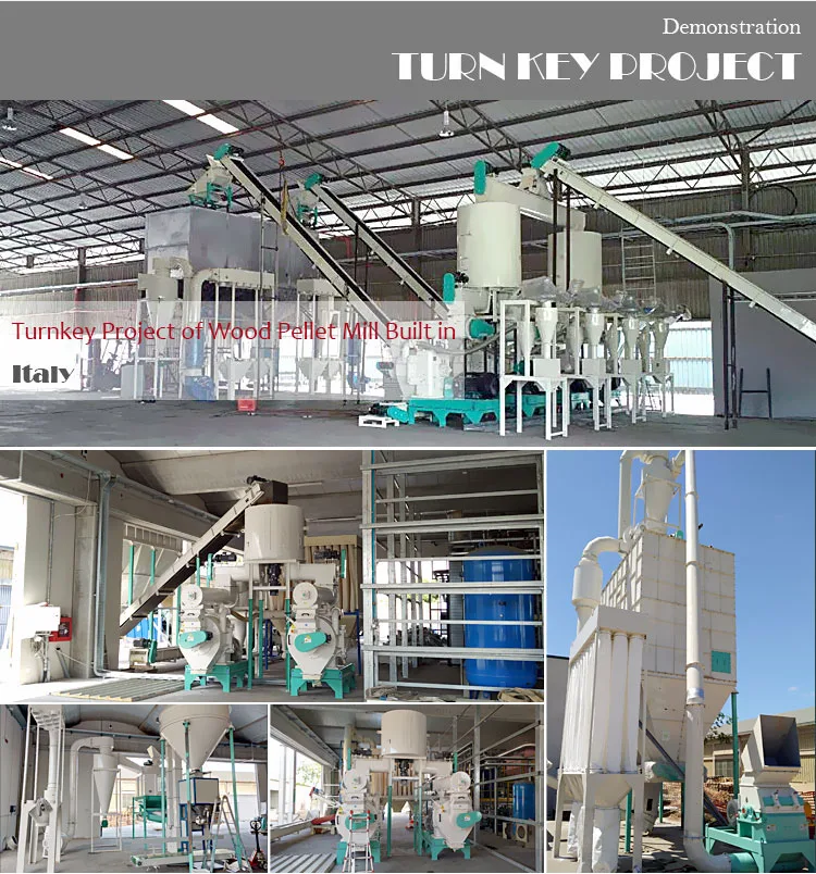 Wholesale Price Home Use Paper Pellet Making Machine China Compact Pto
