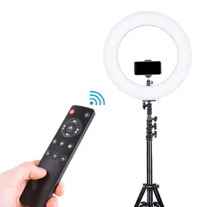 LED Video Ring Light Fill Light with Remote Control Photo Studio Ringlight for Live Video Portrait Wedding