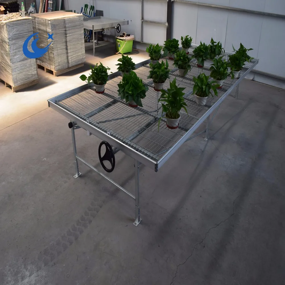 Hydroponic Systems Growing Tables For Vegetable,Fruit Buy Greenhouse