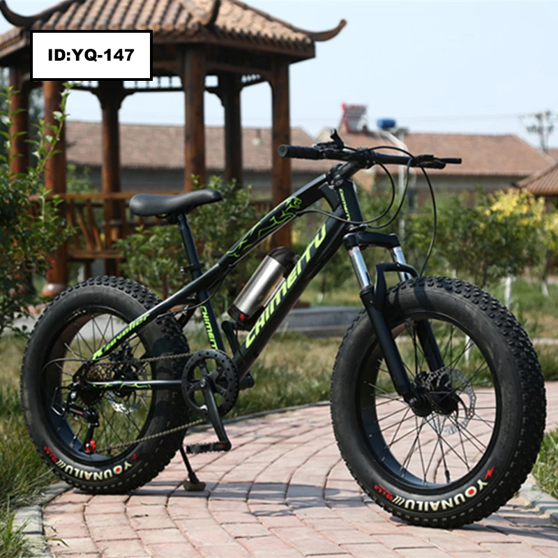 beinaiqi fat bike price