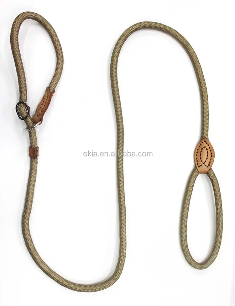 1.2m Pp Adjustable Loop Slip Pet Dog Leash Rope Lead Buy Slip Dog