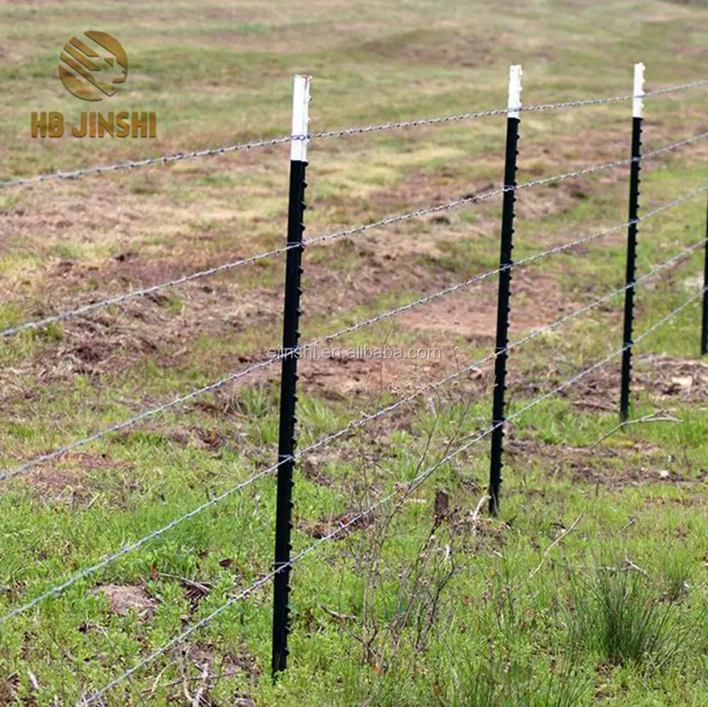 Galvanized 8 Ft T Fence Steel Post For Big Farm Buy Metal T Bar Fence Post,T Posts For Sale