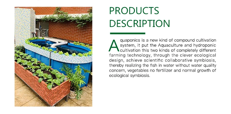 aquaponics system (2).jpg