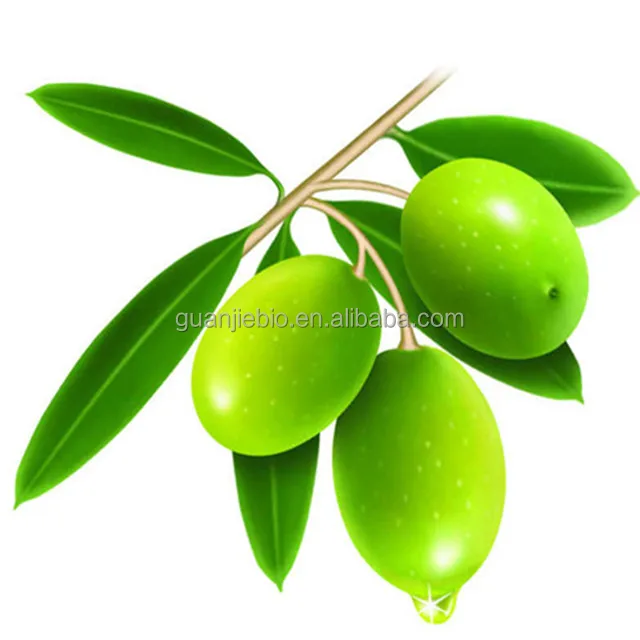 
Natural olive leaf extract CAS 32619-42-4 Oleuropein 