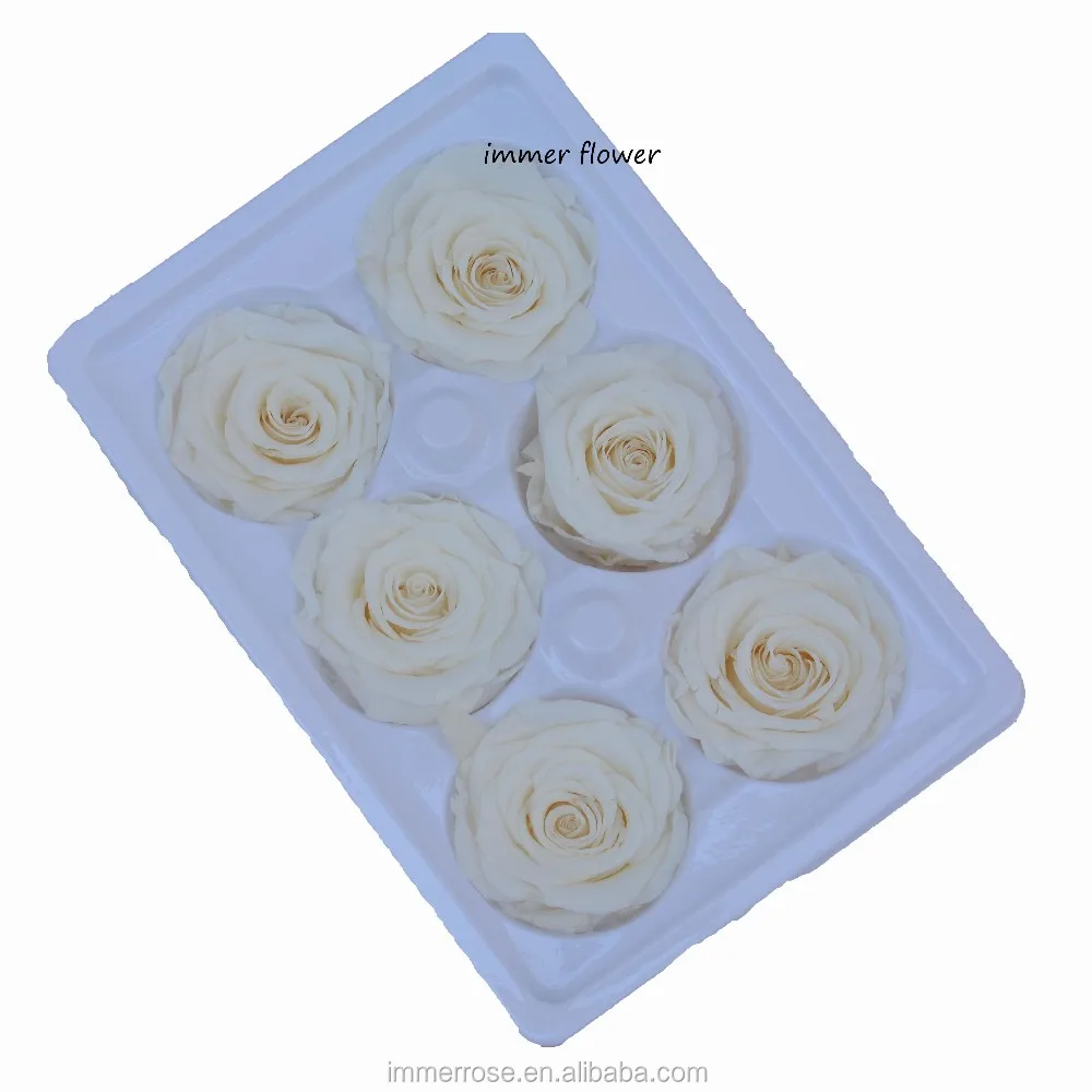 Real Ecuador Preserve Rose Fresh Cut Flower Eternal Rose From Yunnan