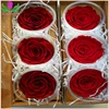 Factory Directly Supply 7-8cm Real Preserved Roses With High Quality On Sale