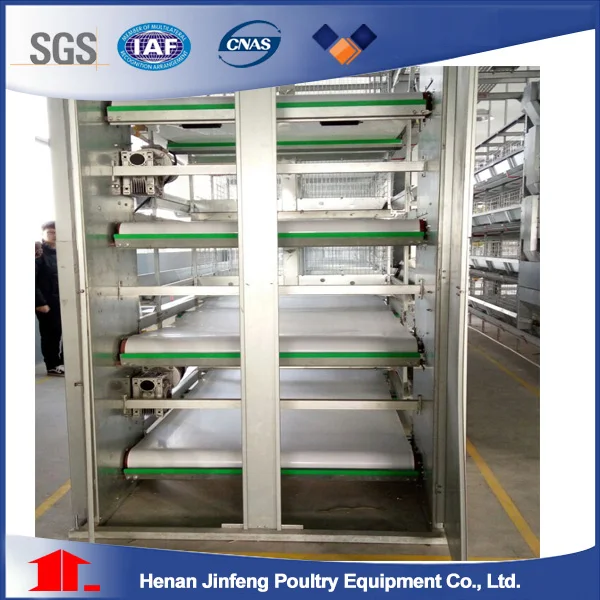 H type Manure Removal System With Manure Belt.jpg