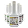 Car Care Radiator rust preventive Radiator System Cleaner Engine Cleaner with High Effective from China direct factory