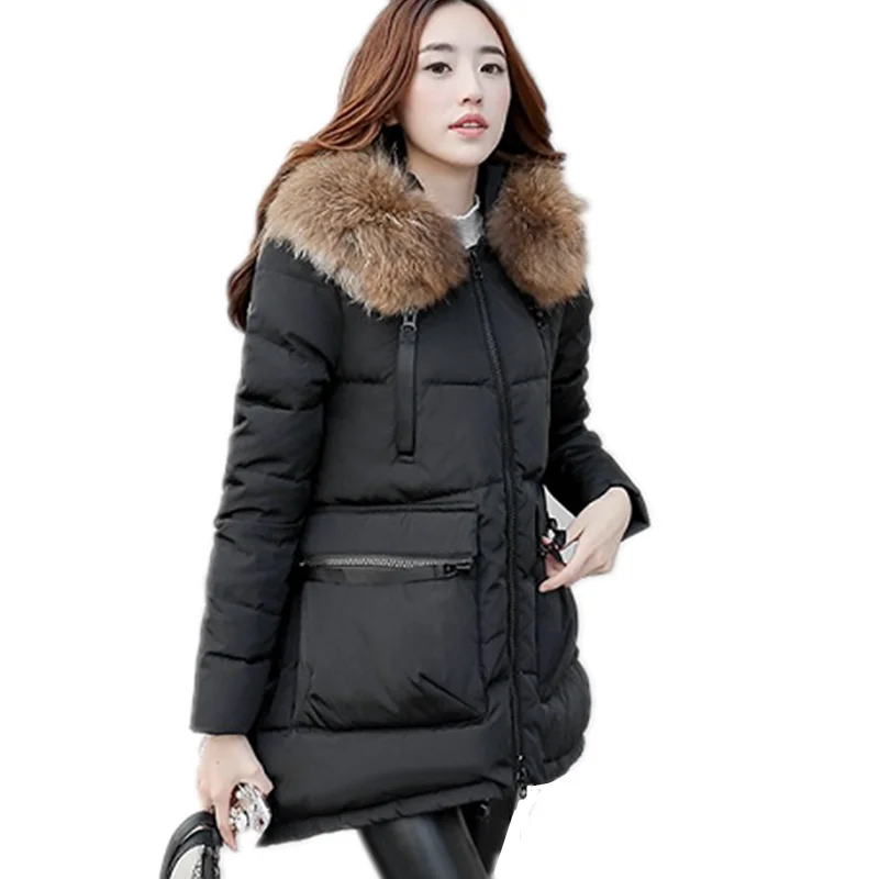 

Polyester Plus Size Warm Slim Adult Raccoon Fur Hoodie Woman Custom Winter Down Clothes Parka Jackets