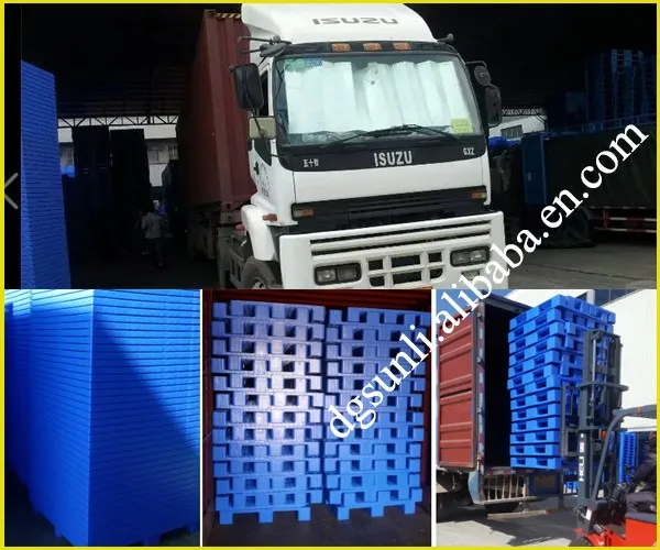plastic pallet loading in container.jpg