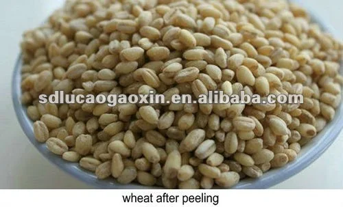 wheat after peeling_