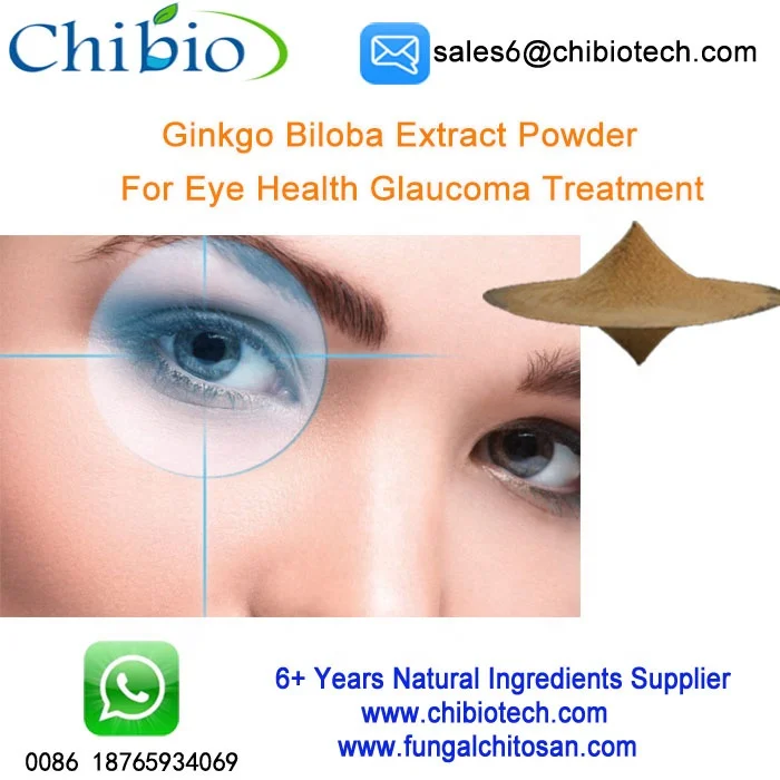 Medical Food Grade Ginkgo Biloba Extract For Eye Health