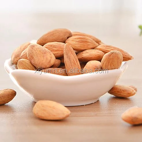 
Chinese Xinjiang Almond Kernel For Sale / Natural Almond Nuts 