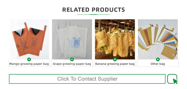 Mango Protect Paper Bag Fruit Bag Mango Fruit Cover - Buy Mango Bag ...