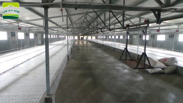 Factory hot sale floor tile  plastic floor mat for hen house plastic chicken house floor