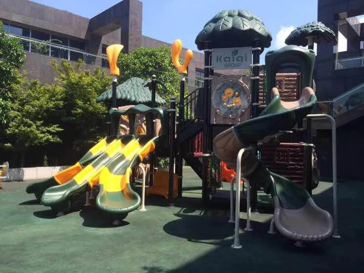 Jungle gym Playground.jpg