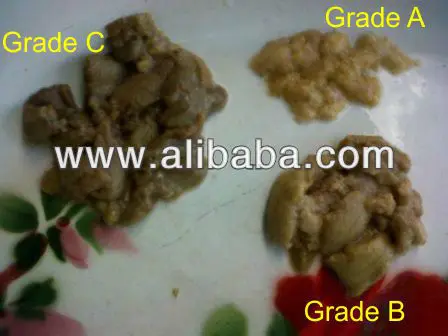 
salted sea urchin (min.1 ton / month) 