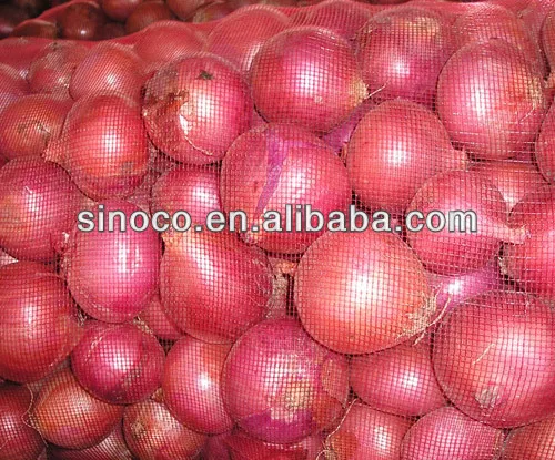 
onion price ton 