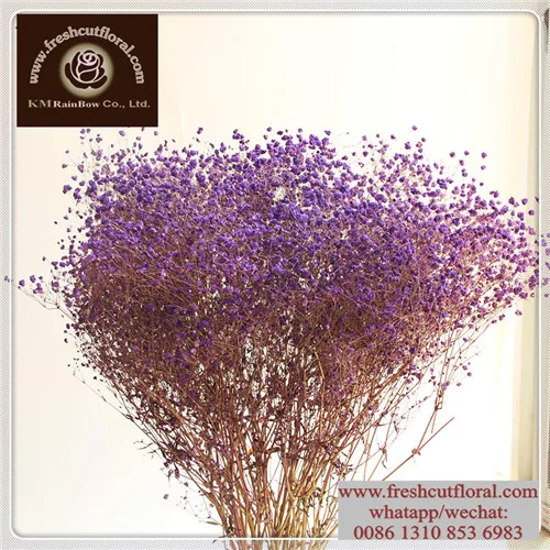 Dried Flowers For Whole Dried Pressed Flowers Supplieranufacturers At Alibaba Com