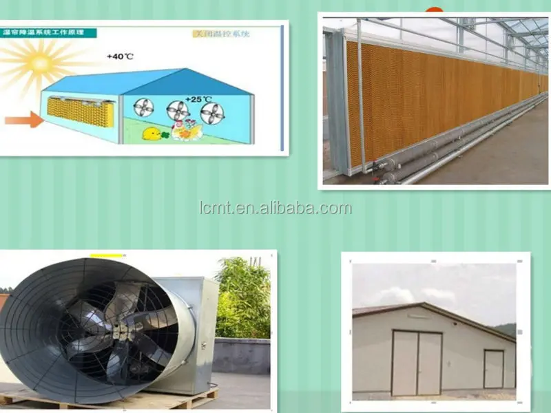 Welded Wire Mesh Quail Cage Type And Bird Use Quail Battery Cages For